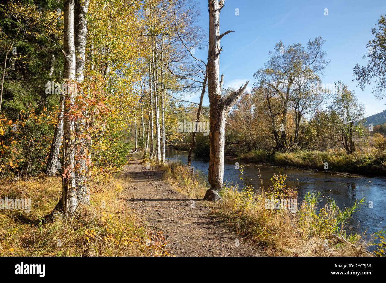 Paesaggio autunnale soleggiato e colorato lungo il fiume. Un sentiero fiancheggiato da alberi autunnali lungo il fiume Foto Stock