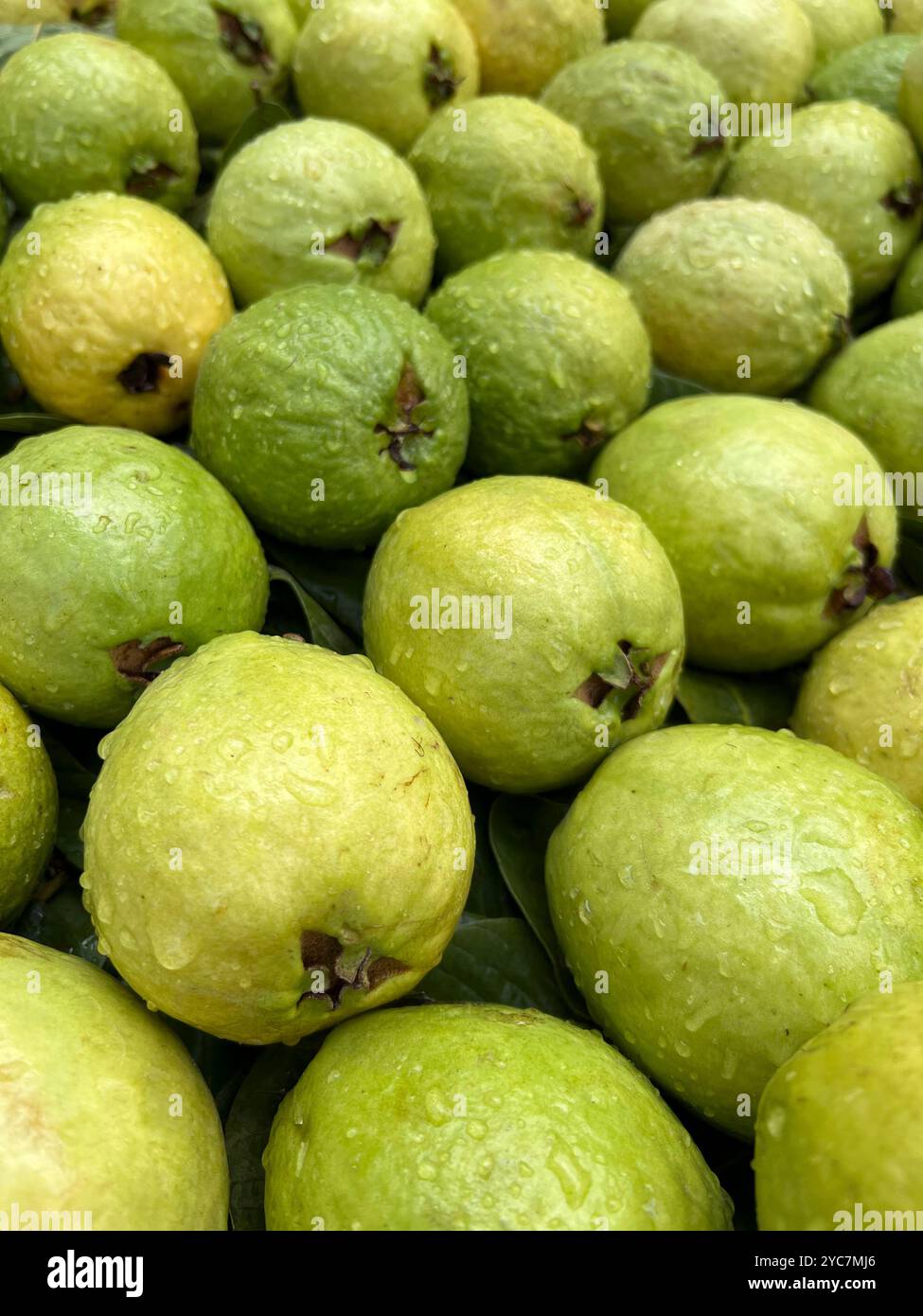 Guava fresche in vendita in un mercato di strada in Brasile. Foto Stock
