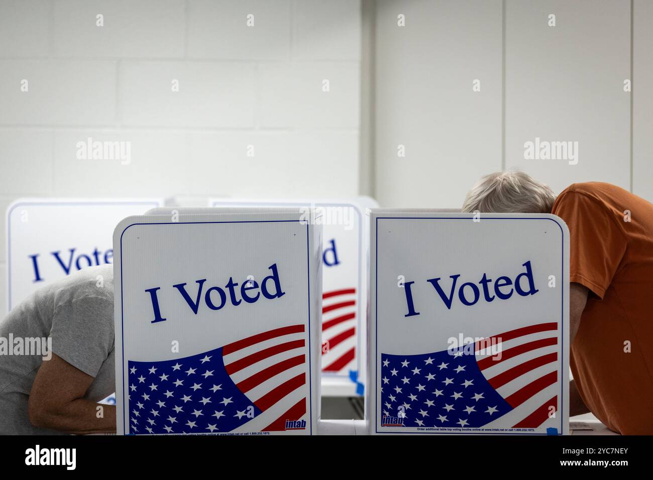 Arlington, Stati Uniti. 21 ottobre 2024. Gli elettori compilano le loro schede presso il luogo di voto anticipato presso il Long Bridge Aquatics and fitness Center il 21 ottobre 2024 ad Arlington, Virginia. Il voto anticipato nelle elezioni del 2024 è iniziato in molti stati con l'ex presidente Donald Trump e il vicepresidente Kamala Harris che si sono potuti collo nei principali stati del campo di battaglia. (Foto di Samuel Corum/Sipa USA) credito: SIPA USA/Alamy Live News Foto Stock