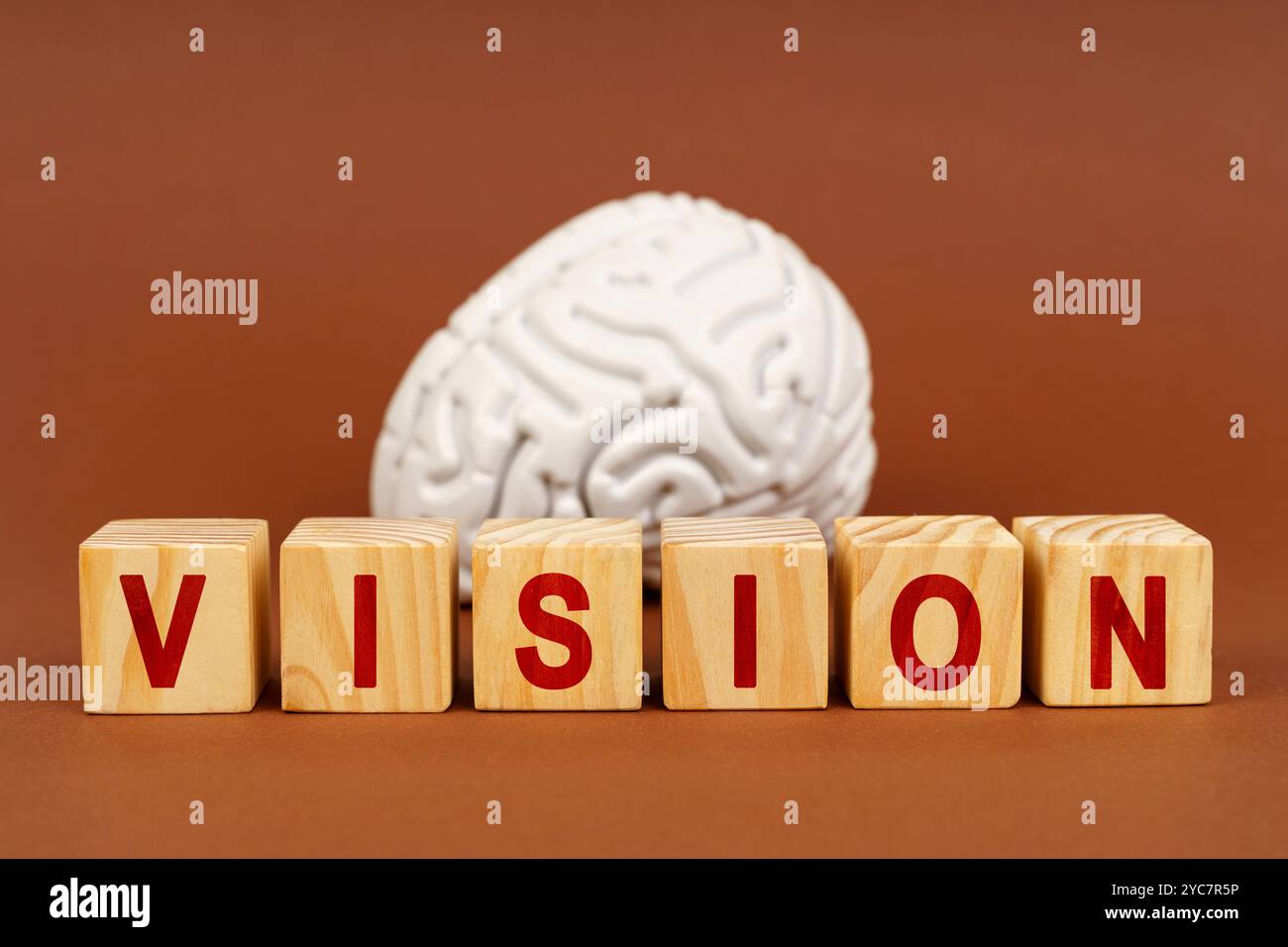 Un modello cerebrale si trova accanto ai blocchi di legno che descrivono la visione, illustrando la relazione tra processi mentali e percezione visiva. Foto Stock