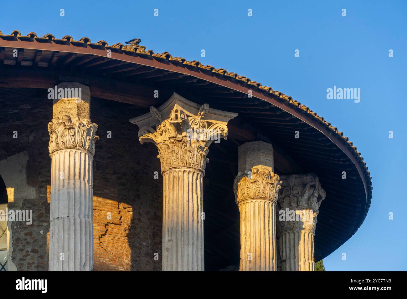Tempio di Ercole Vittorio, Tempio di Ercole vincitore, Roma, Lazio, Italia Foto Stock