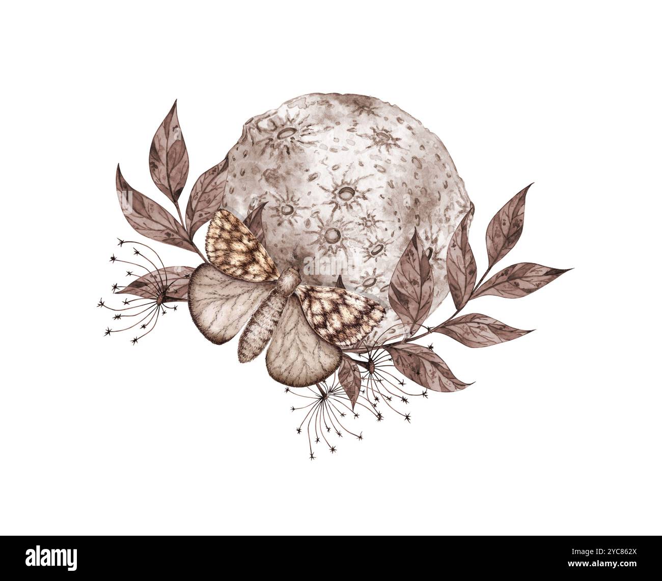 Illustrazione di acquerelli dalle tonalità marrone e beige. Corpo cosmico isolato dallo sfondo. Astrologia delle fasi lunari. Concetto di design Foto Stock