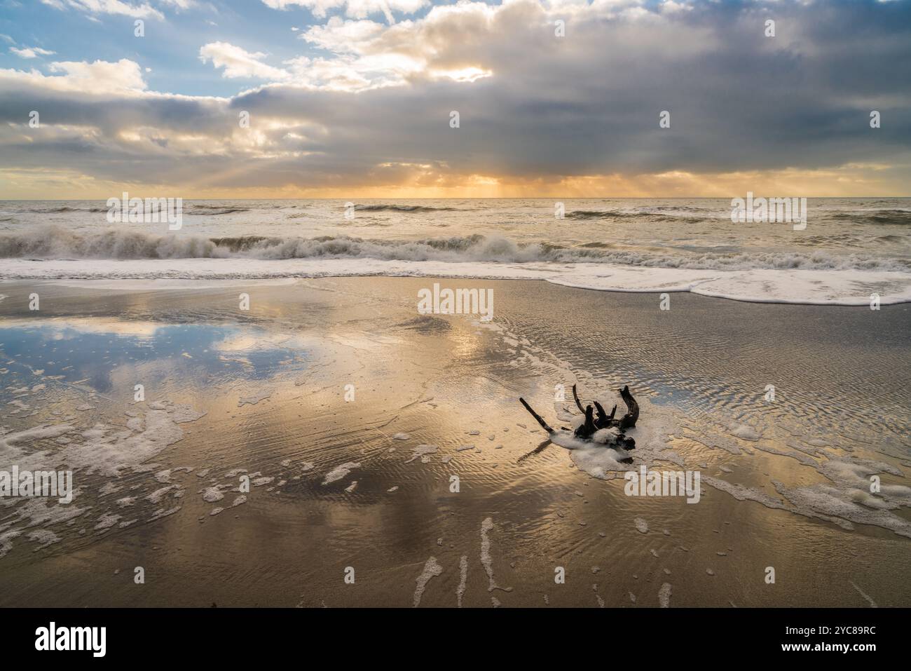 Serata sulla spiaggia sulla costa del Golfo della Florida vicino a Venice Foto Stock
