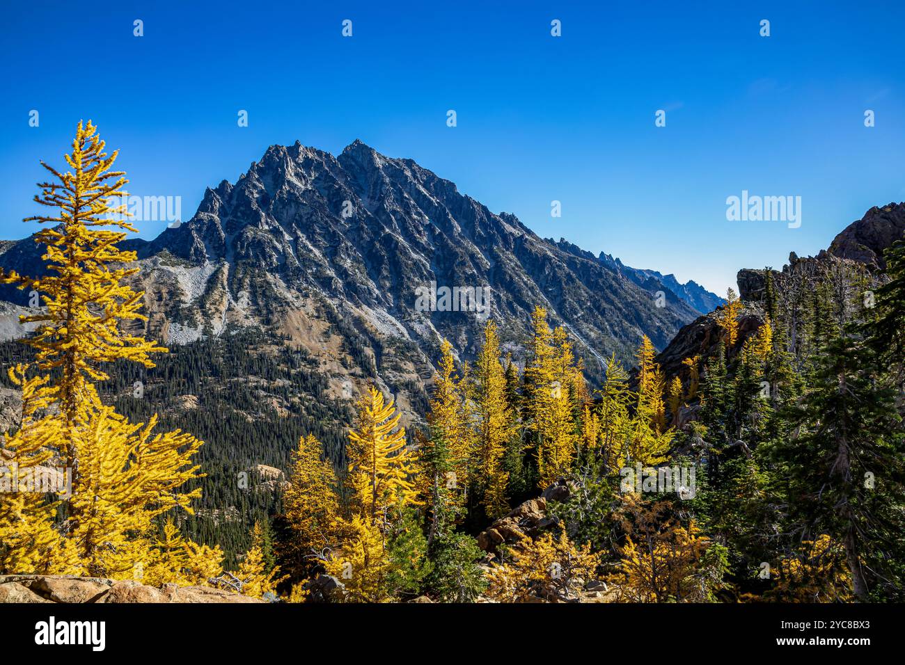 WA25816-00...WASHINGTON - larici alpini in colori autunnali con il Monte Stuart sullo sfondo, Alpine Lakes Wilderness. Foto Stock