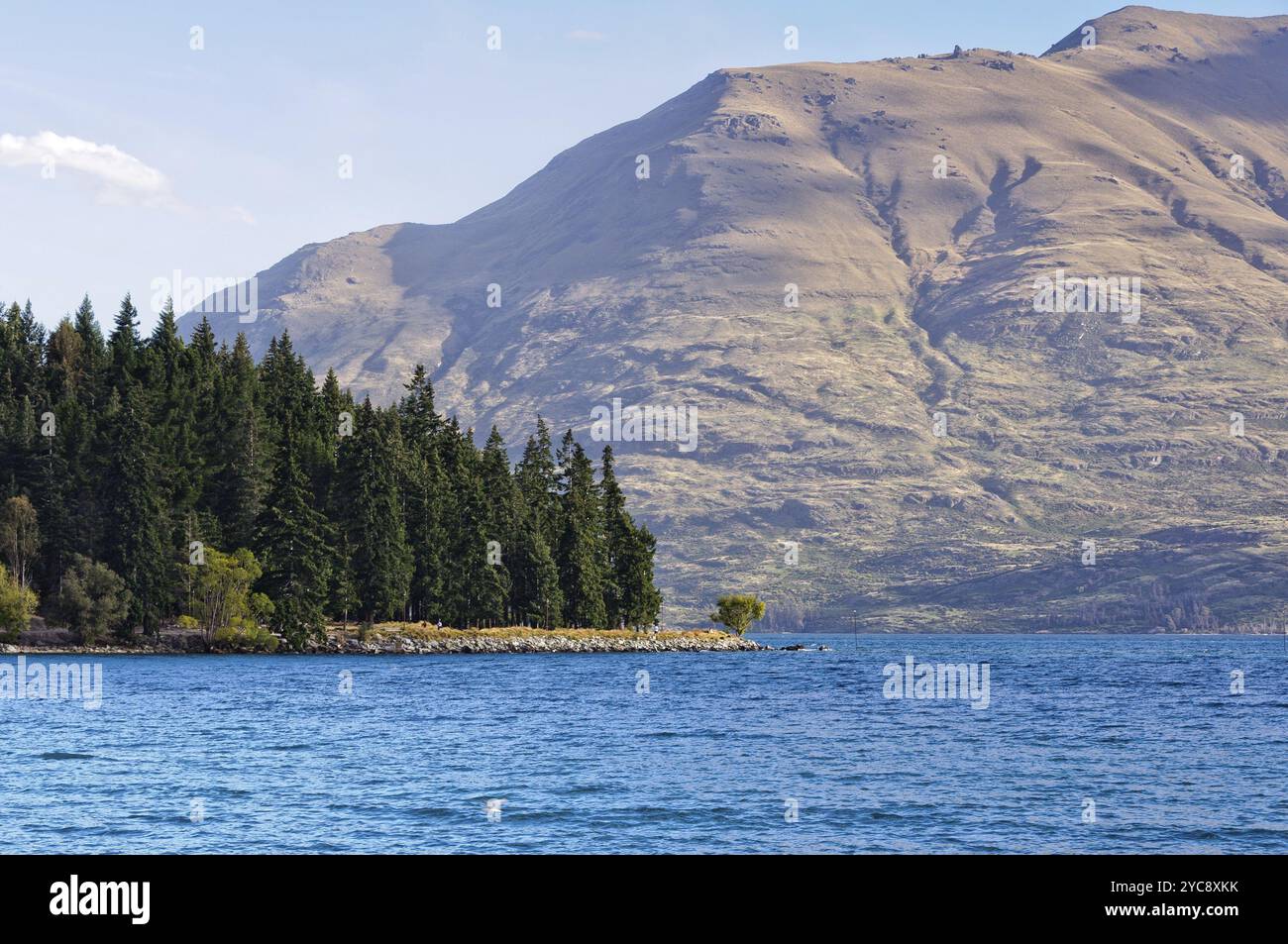 Alberi di pino e soleggiate colline intorno al lago di Wakatipu a Queenstown sull'Isola del Sud della Nuova Zelanda Foto Stock