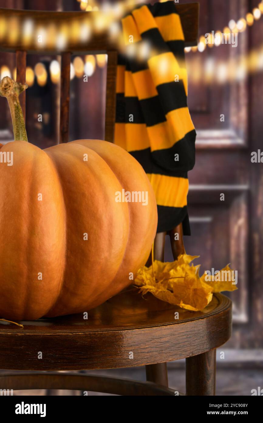 Sfondo di Halloween. Grande zucca con foglie di acero secco, calze a righe nere e arancioni per feste su una vecchia sedia retrò sullo sfondo di vecchie porte Foto Stock