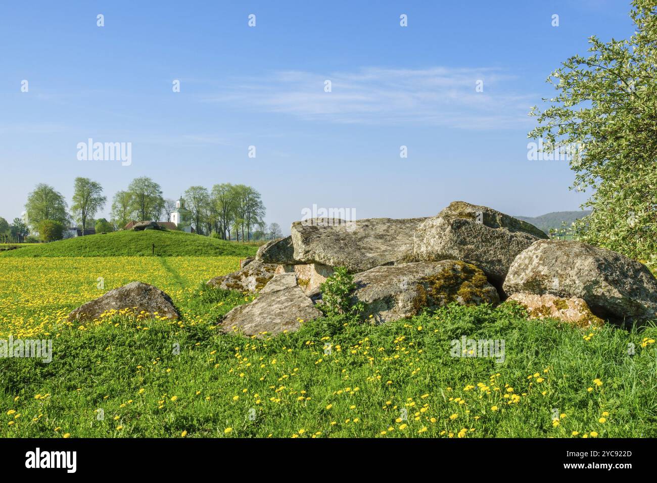Tomba di passaggio in una zona rurale Paesaggio estivo Foto Stock