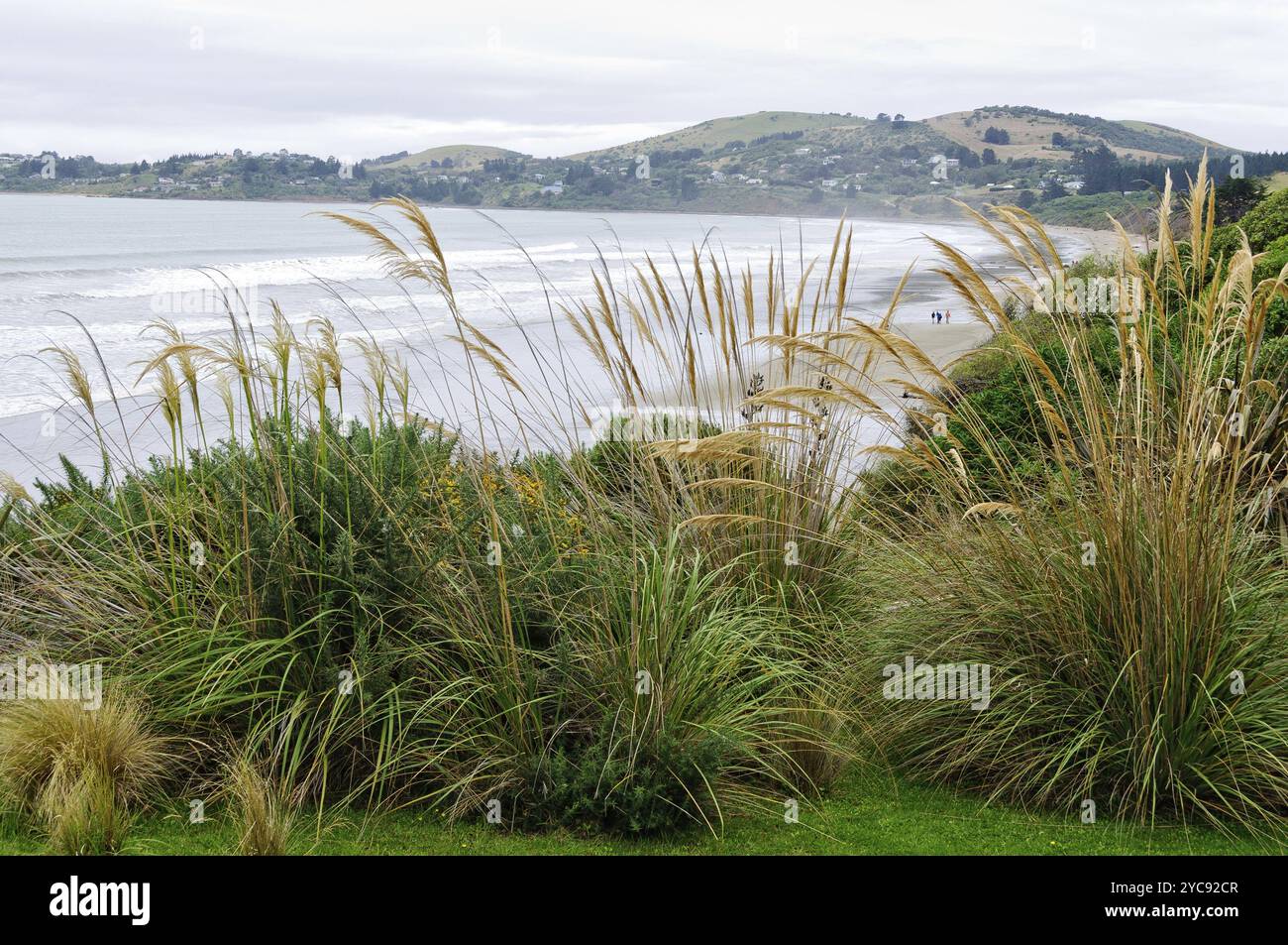 Costa di Moeraki sull'isola meridionale della nuova Zelanda Foto Stock