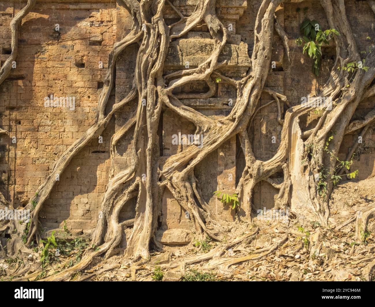 Tempio coperto a Prasat Sambor, Sambor Prei Kuk, Cambogia, Asia Foto Stock