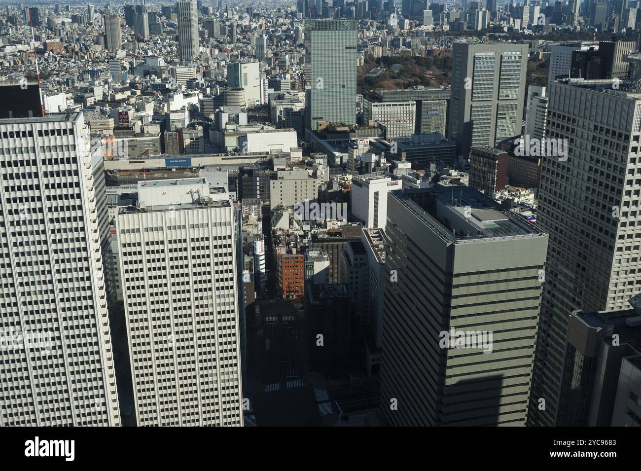 01.01.2018, Tokyo, Giappone, Asia, Una vista dal Palazzo del governo Metropolitano di Tokyo sull'infinito mare di edifici nella capitale giapponese Tokyo Foto Stock