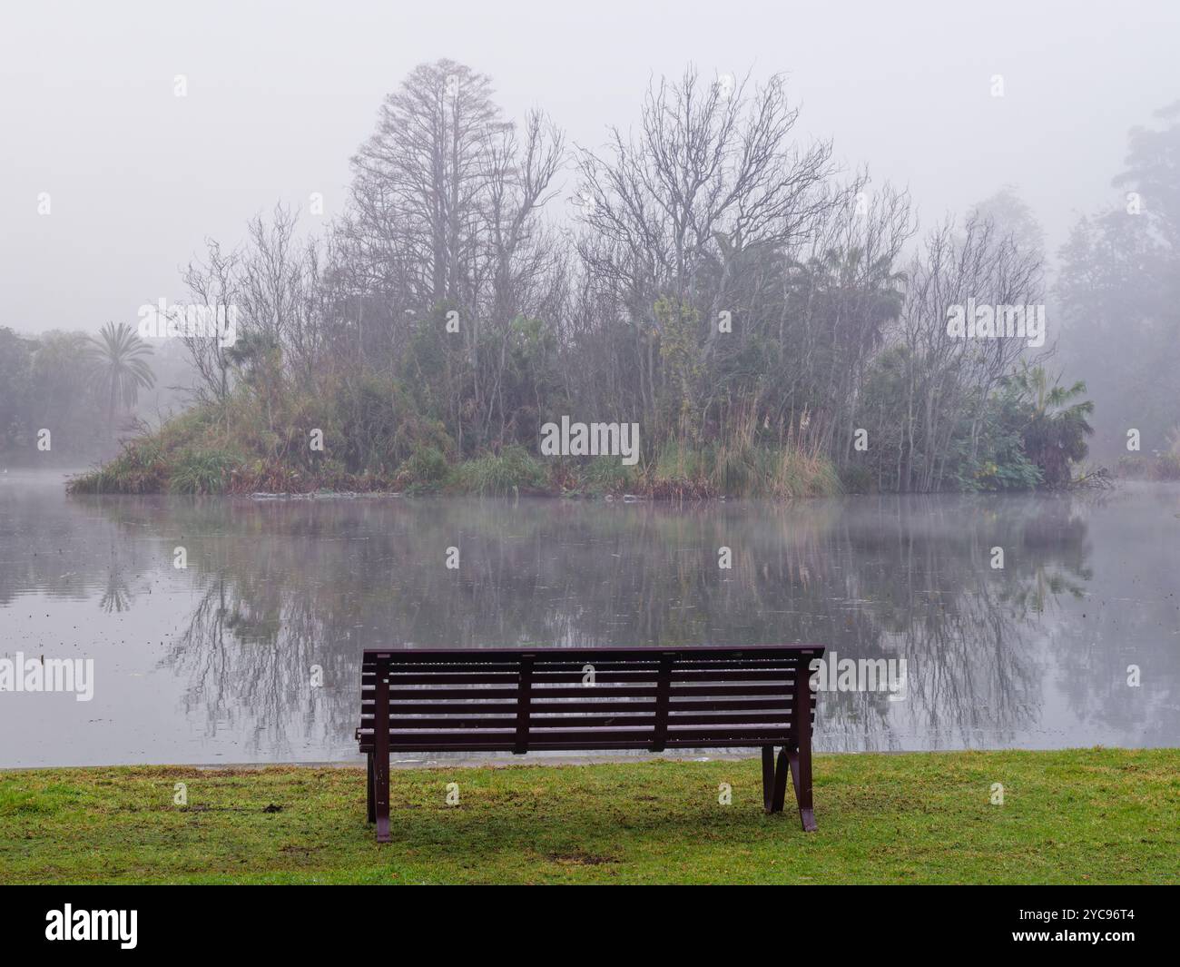 Una vista nebbiosa Foto Stock