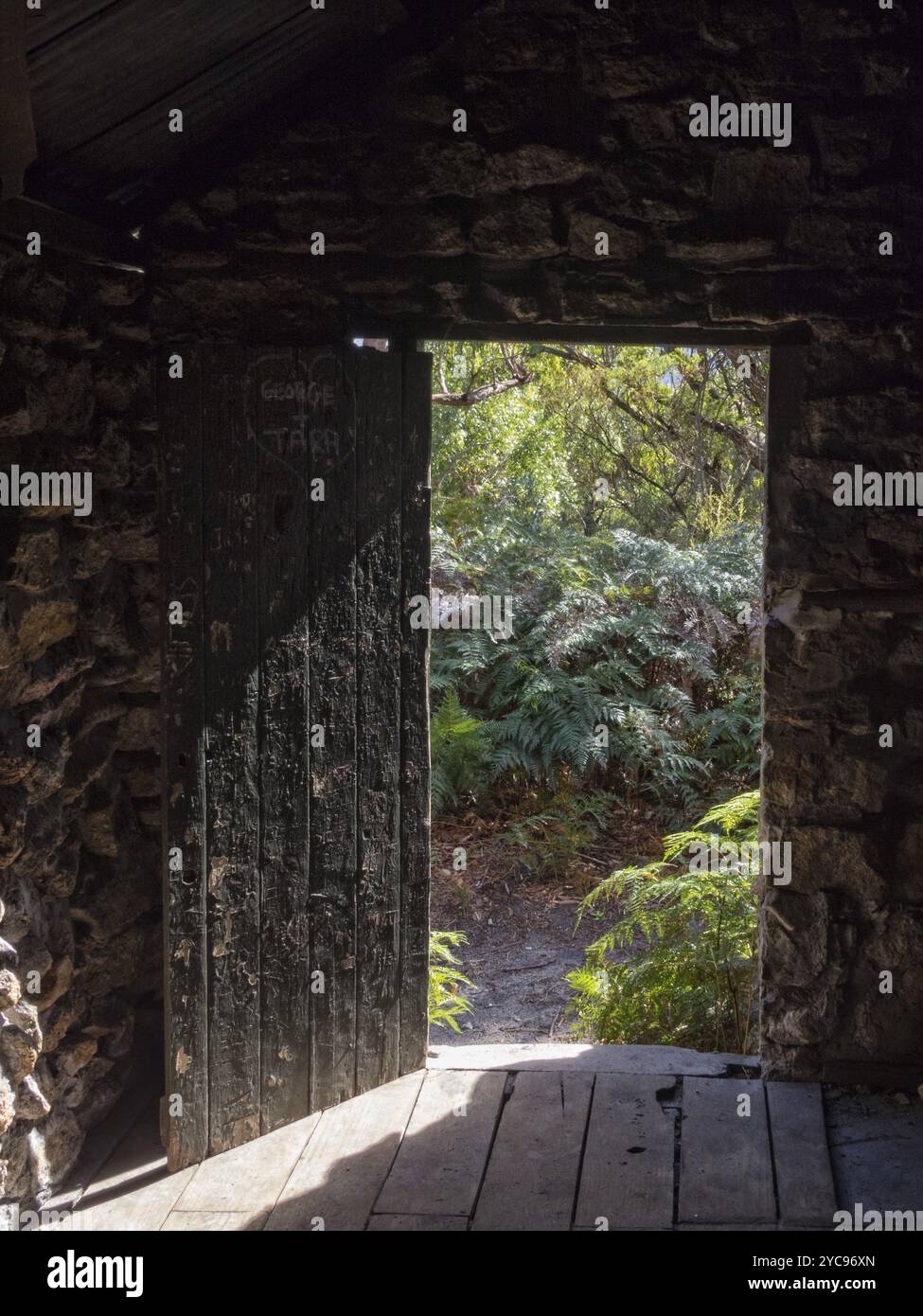 Vista della lussureggiante vegetazione costiera dalla Half Way Hut attraverso la porta, Wilsons Promontory, Victoria, Australia, Oceania Foto Stock