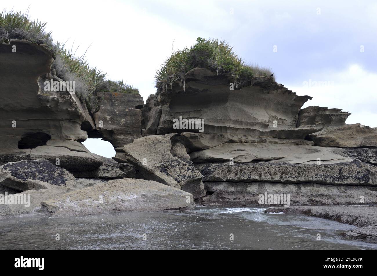 Erosione calcarea al Truman Track, Parco Nazionale di Paparoa, Costa Occidentale, Isola del Sud, nuova Zelanda, Oceania Foto Stock