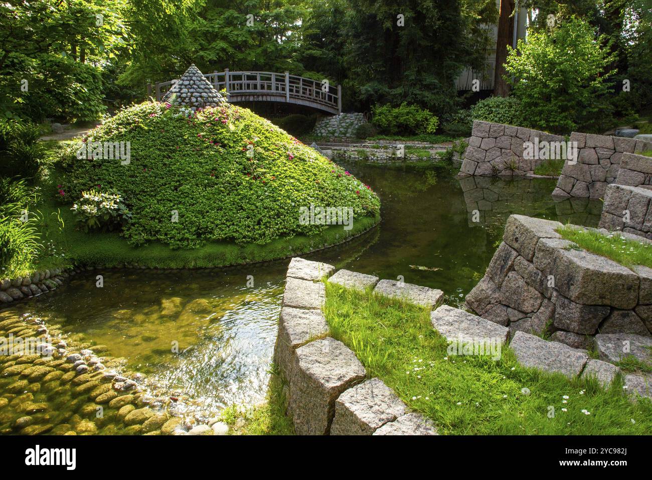 Lo stagno con sponde di pietra e qualche tipo di cespugli di azalea piramide e ponte di legno giapponese nel giardino giapponese nel parco Albert Kahn a Parigi. A. Foto Stock
