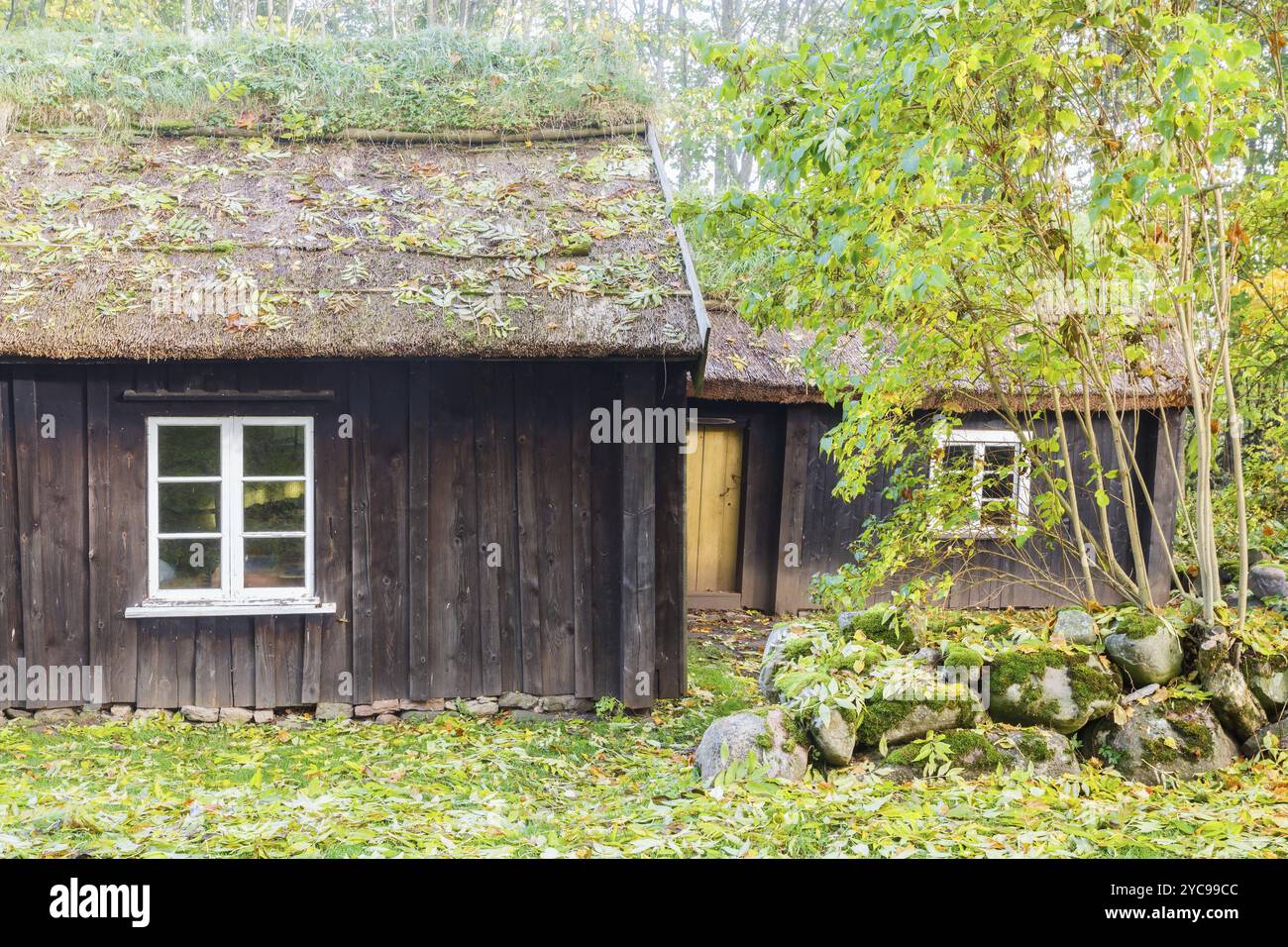 Vecchio cottage di legno con tetto di paglia Foto Stock