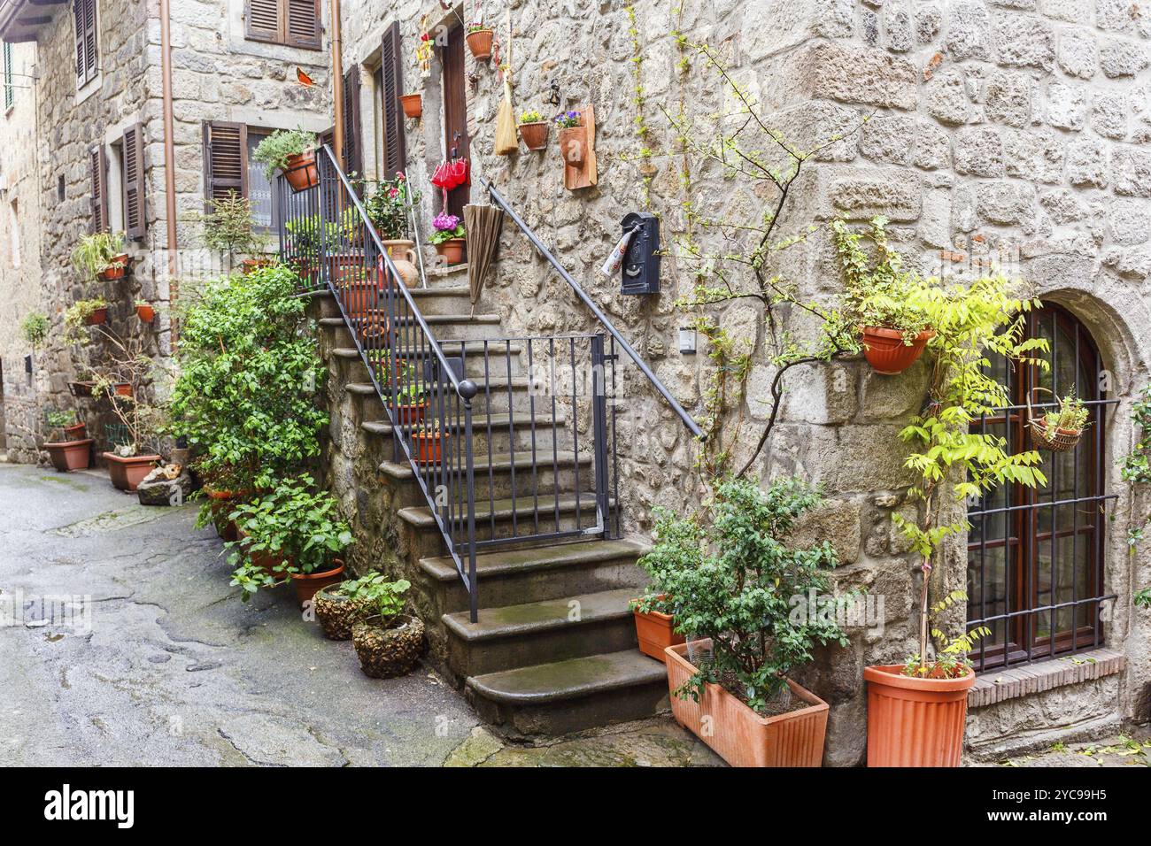 Piante verdi su una scala su un cortile Foto Stock