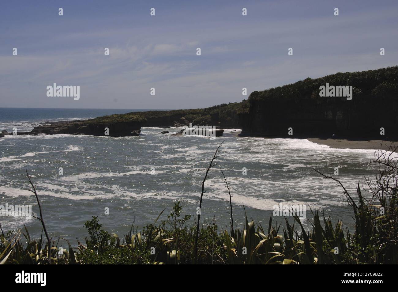 Spiaggia sulla pista Truman, Parco Nazionale di Paparoa, Costa Occidentale, Isola del Sud, nuova Zelanda, Oceania Foto Stock