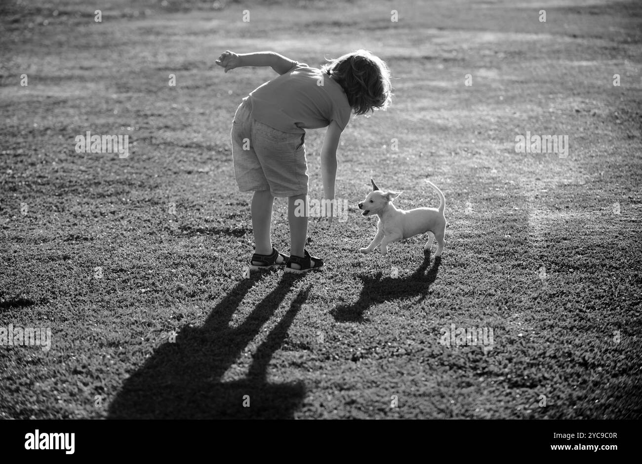 Un bambino adorabile con un cane che cammina all'aperto. Foto Stock