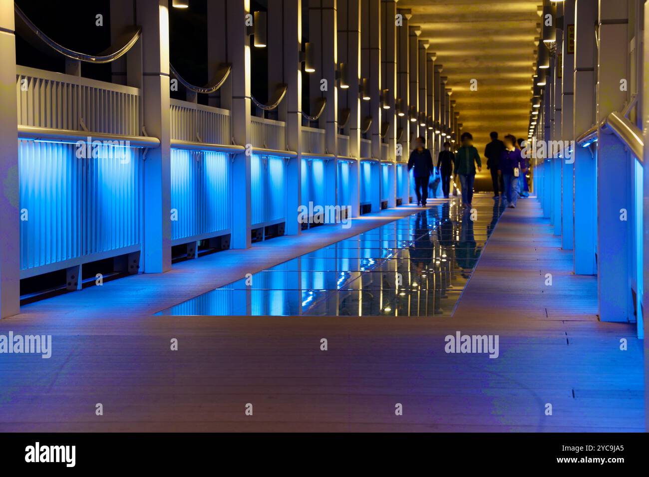Ulsan, Corea del Sud - 8 ottobre 2023: Le persone camminano lungo la passerella pedonale illuminata sotto il National Garden Bridge, con illuminazione blu e. Foto Stock