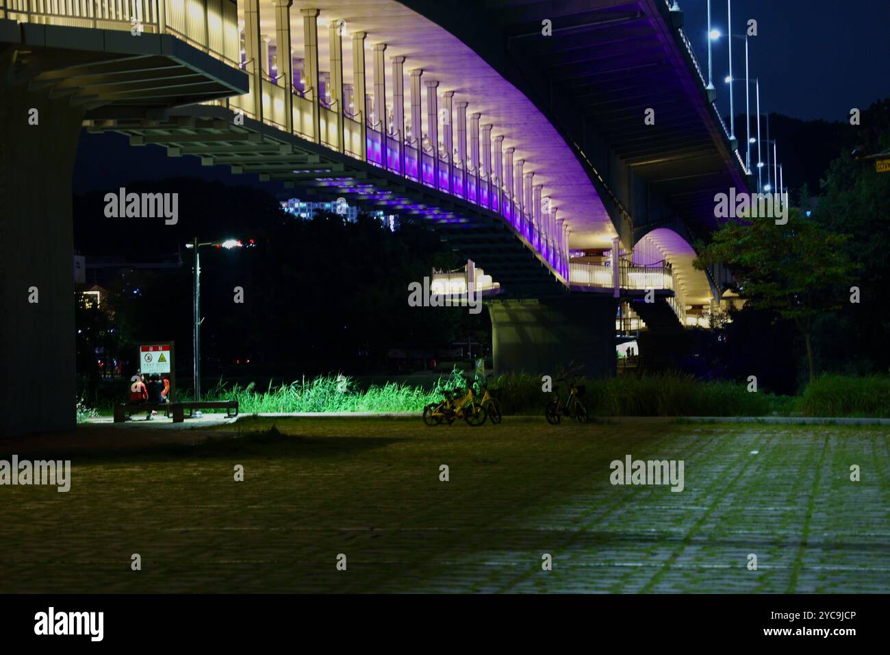 Ulsan, Corea del Sud - 8 ottobre 2023: Il National Garden Bridge illuminato da luci vibranti che proiettano un bagliore sul passaggio pedonale e sul nea Foto Stock