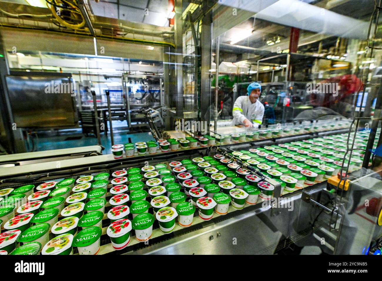 Ferrières en Bray (Francia settentrionale): Linea di produzione di prodotti lattiero-caseari presso lo stabilimento di Danone. Produzione di yogurt biologici semplici o proteici come Skyr, fru Foto Stock