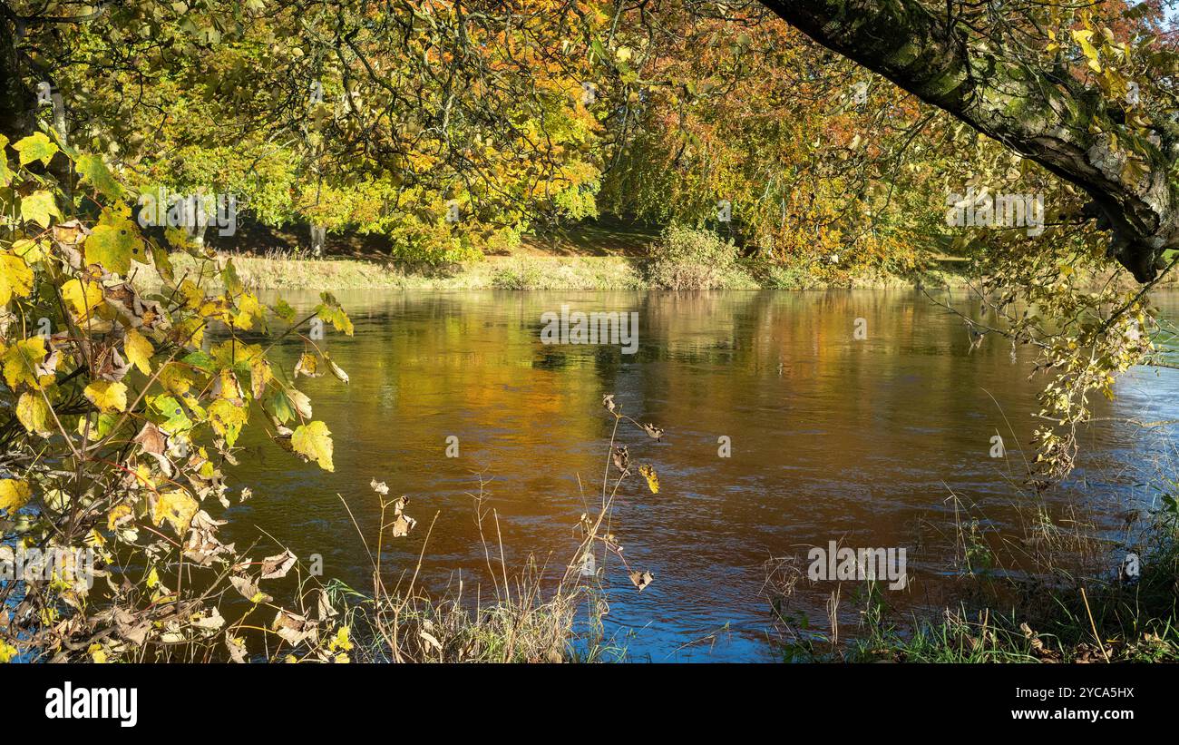 Un luogo dove fermarsi e osservare, River Eden, Langwathby, Westmorland & Furness, Cumbria, REGNO UNITO Foto Stock