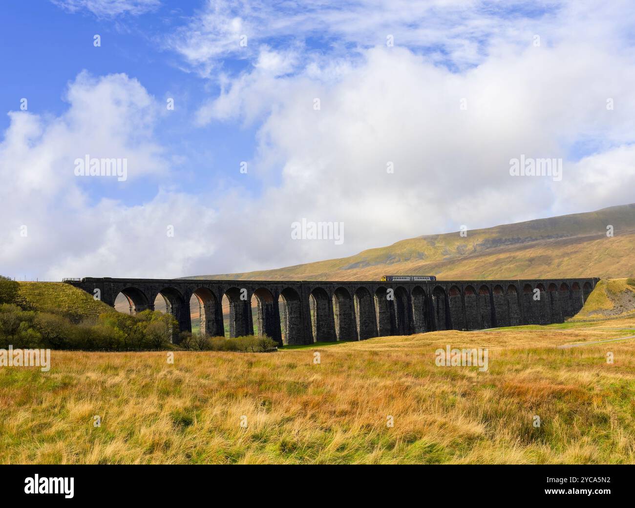 L'iconico viadotto Ribblehead nel North Yorkshire, Regno Unito, trasporta le Settle-Carlisle Railways attraverso le brughiere del North Yorkshire Foto Stock