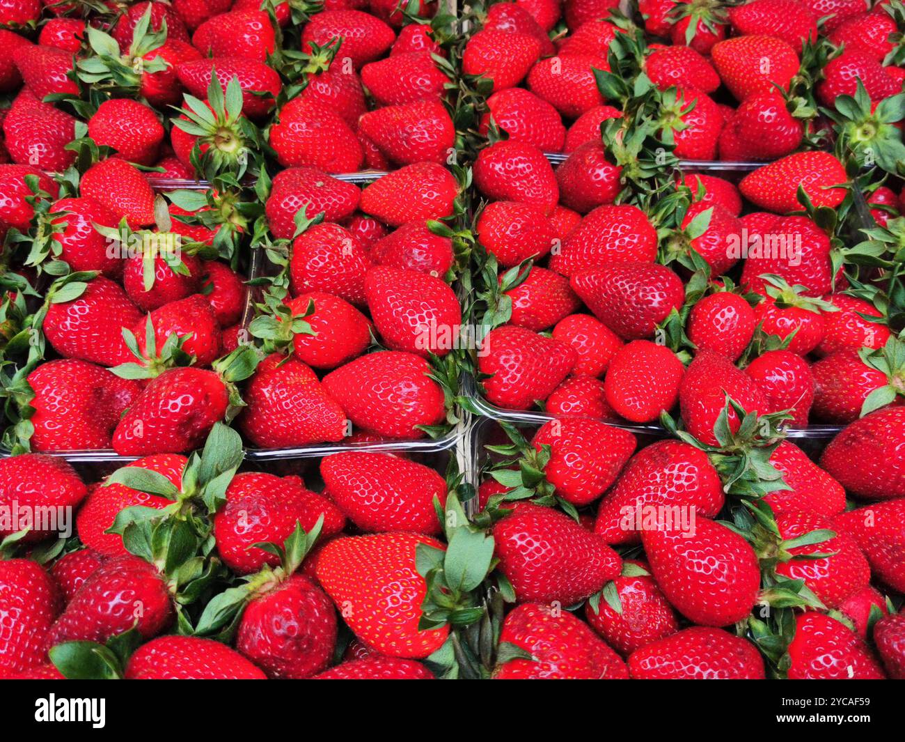 consistenza fresca di fragole come ottimo sfondo di cibo Foto Stock