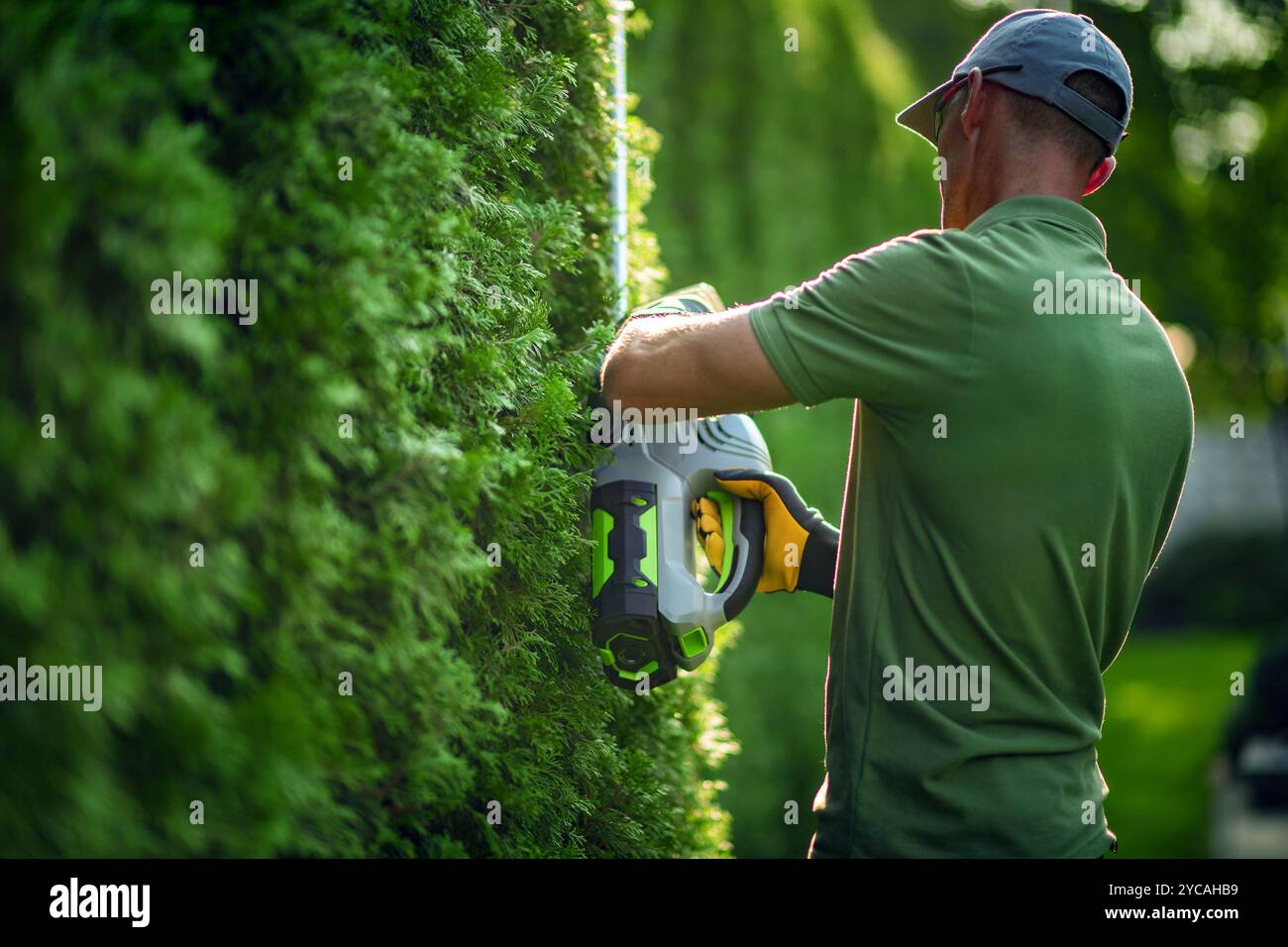 Un uomo sta rifilando con cura una siepe verde vibrante in un bellissimo giardino, dimostrando abilità con i suoi attrezzi da giardinaggio in una giornata di sole. Foto Stock