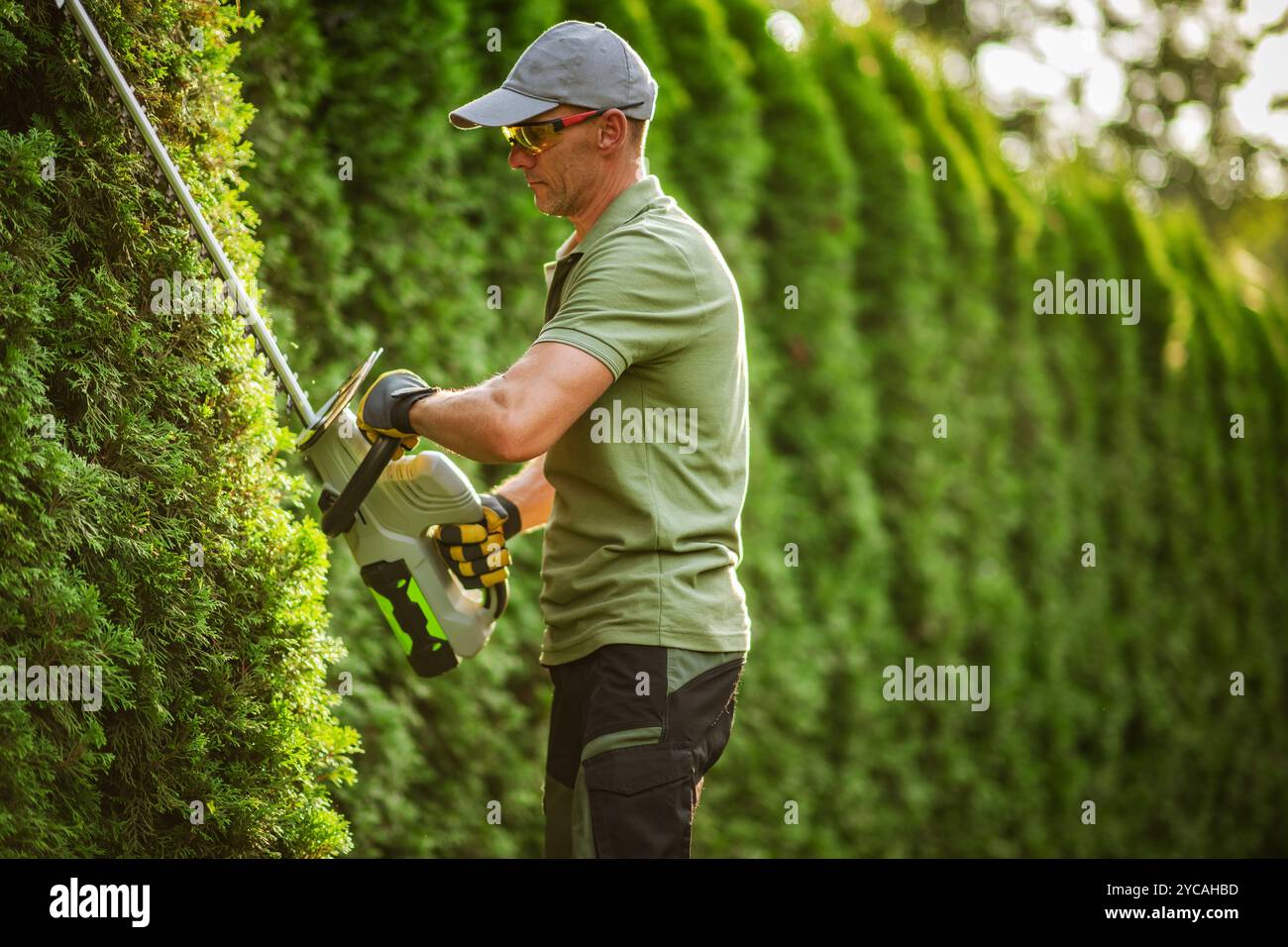 Un giardiniere rifinisce sapientemente una siepe alta utilizzando un rifinitore elettrico in un giardino lussureggiante, circondato dal verde in una giornata di sole. Foto Stock