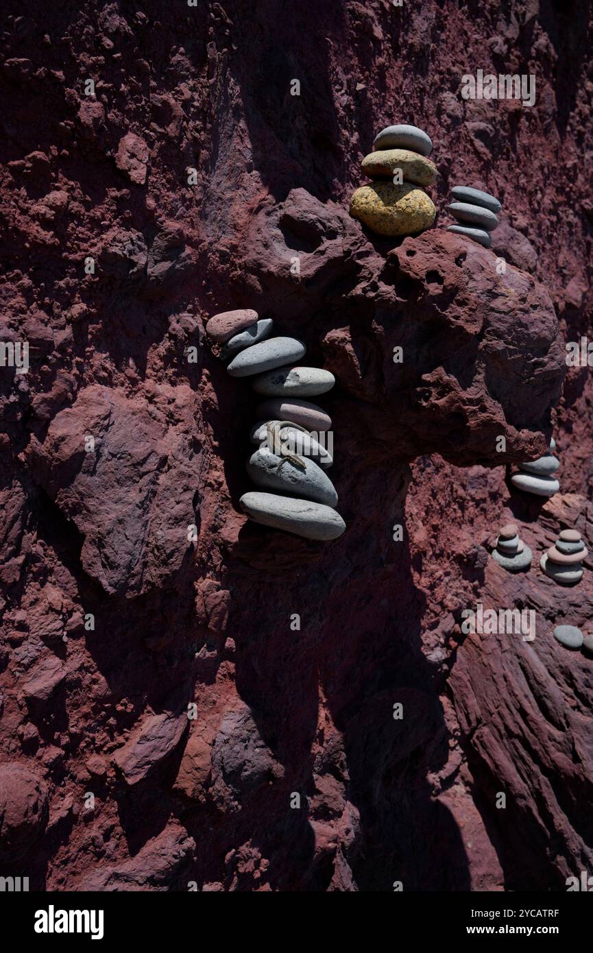 Una piccola lucertola verde crogiolata su una pila di ciottoli lisci contro l'aspra roccia rossa di Vereda da Ponta de São Lourenco Foto Stock