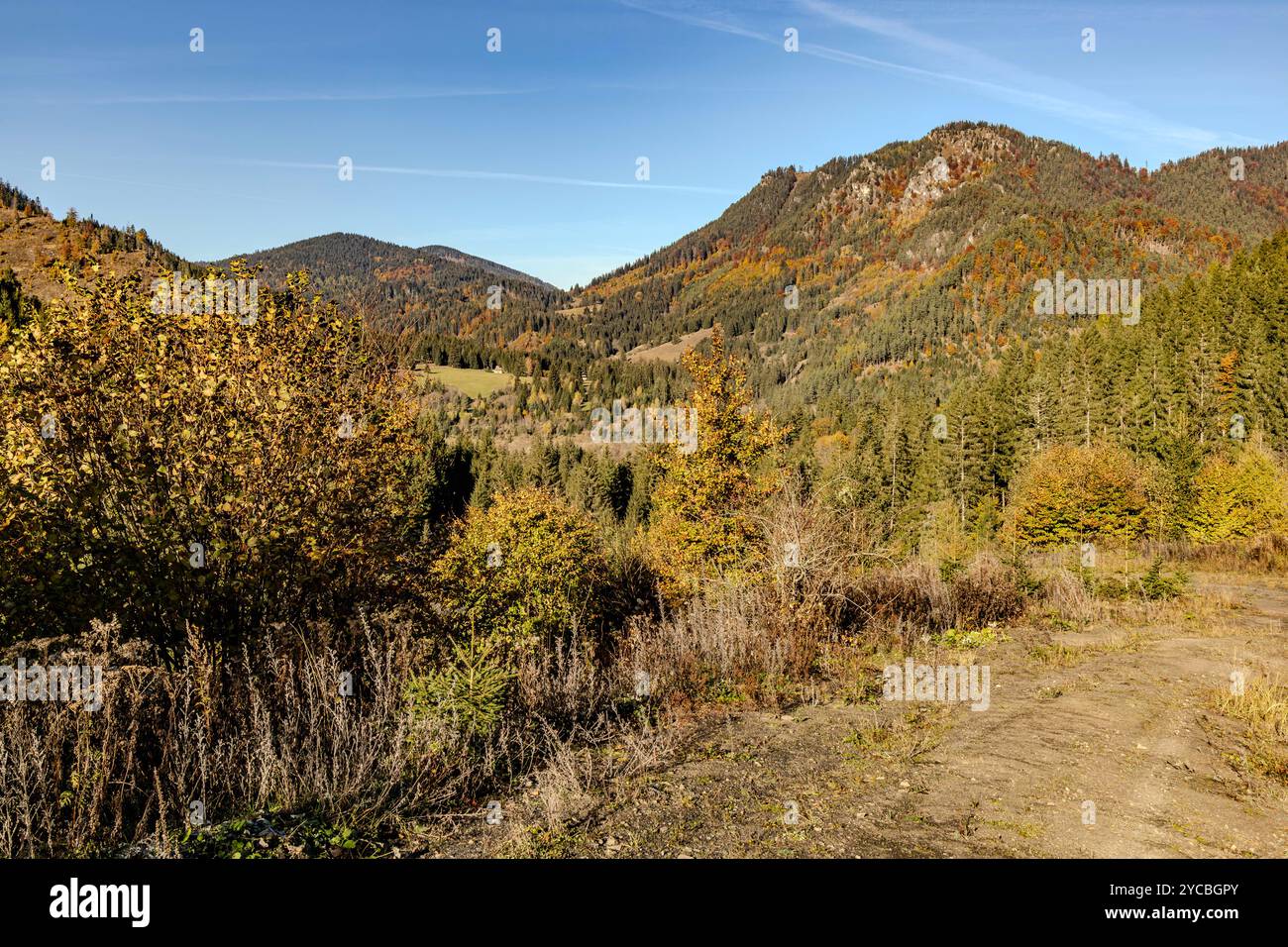 Slovensko národný Park Nízke Tatry Foto Stock