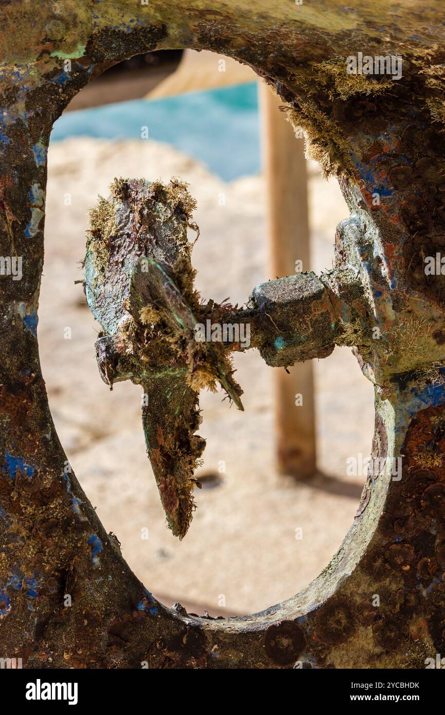 Primo piano dell'ambiente subacqueo con elica per navi in condizioni meteorologiche Foto Stock