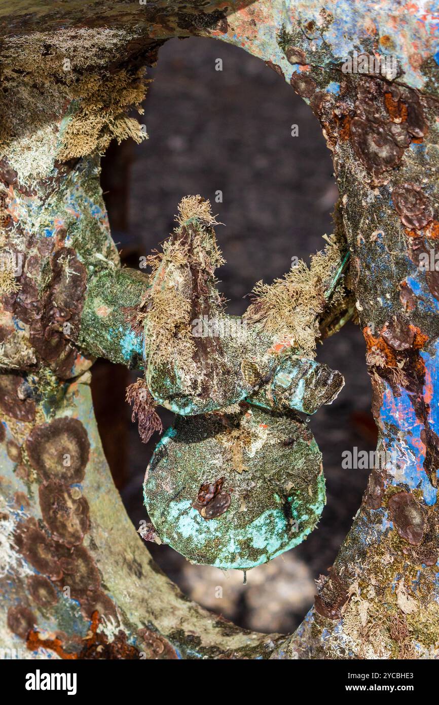 Primo piano dell'ambiente subacqueo con elica per navi in condizioni meteorologiche Foto Stock