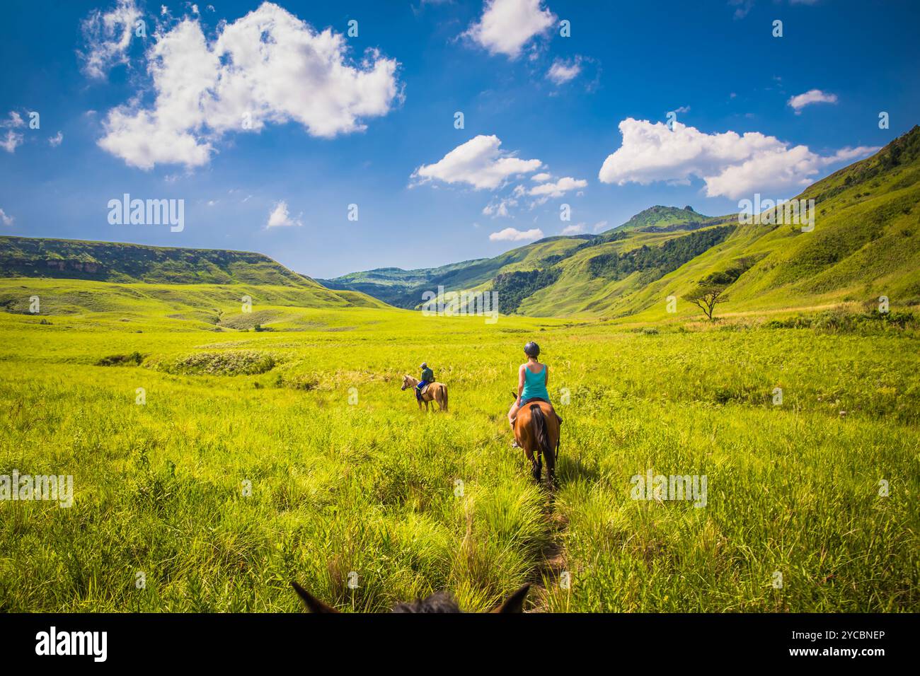 Gente che va a cavallo nelle praterie di montagna di Drakensberg, in Sudafrica. Foto Stock