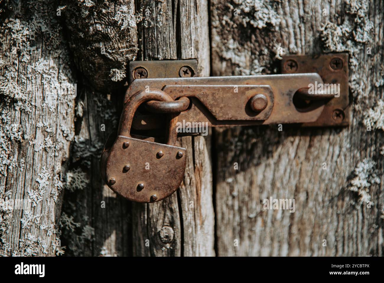 Salito su una vecchia porta di legno con lucchetto Foto Stock