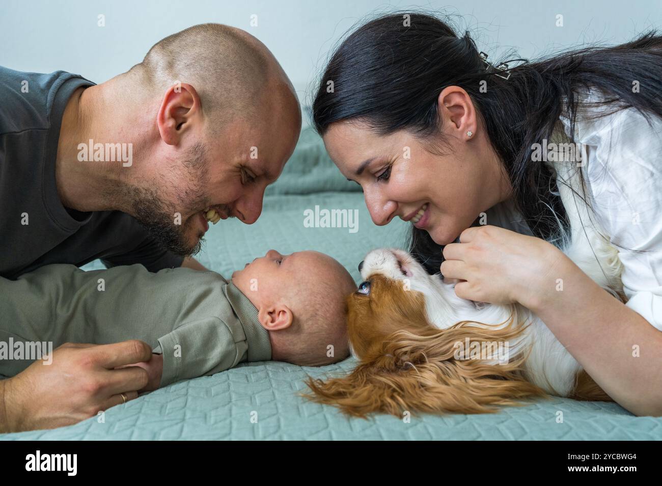 Marito e moglie sdraiati sul letto con neonato, la razza di cane si trova accanto ad esso Cavalier King Charles Spaniel. Vista dall'alto. Ci stiamo divertendo insieme. Felice fami Foto Stock