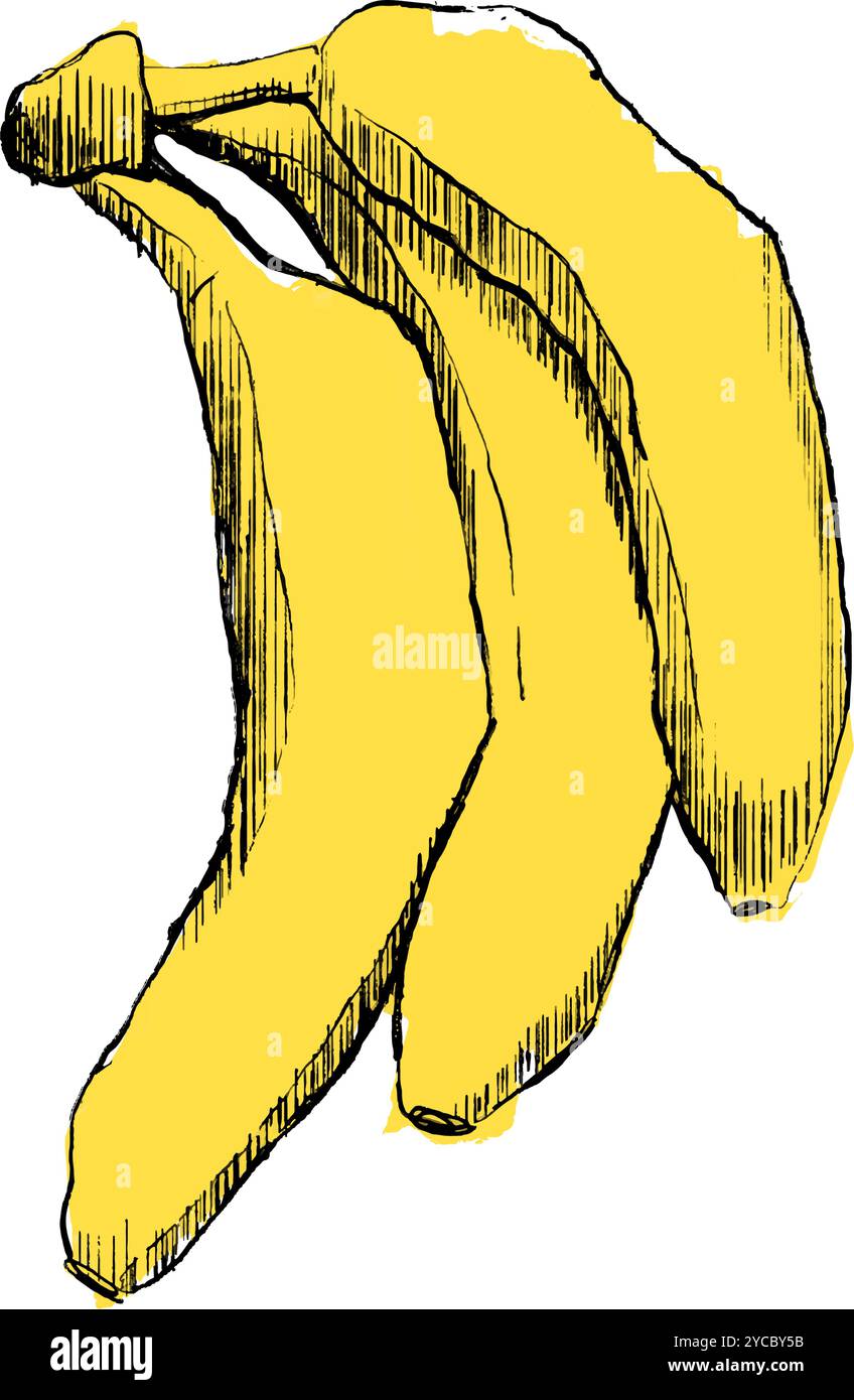 Illustrazione grafica del vettore isolato a banana, mazzo di banane, frutta tropicale, spuntini a base di banana o nutrizione vegetariana Illustrazione Vettoriale