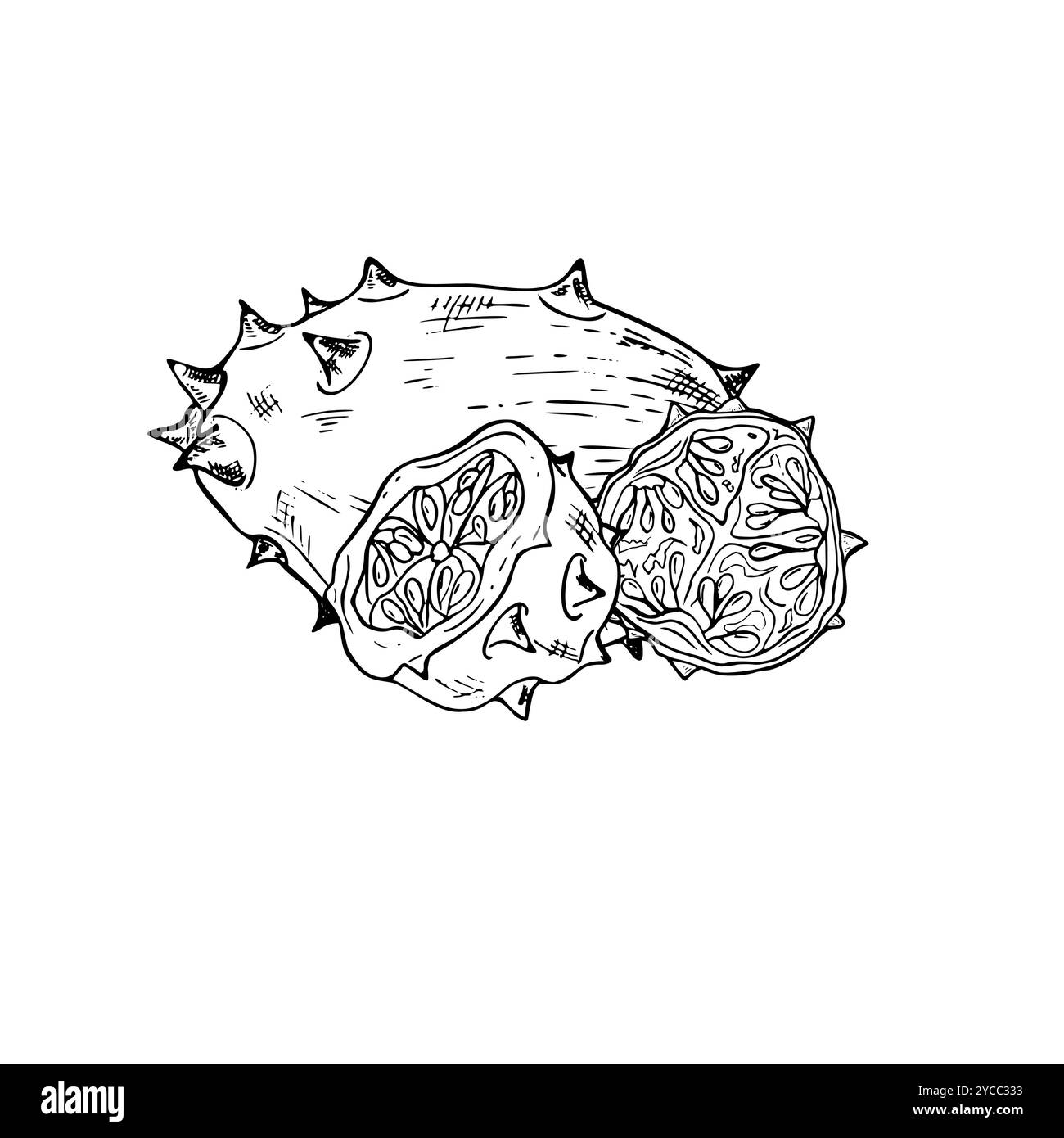 Illustrazione isolata del vettore kiwano a punta intera e a metà in bianco e nero disegnata a mano. Esotico engrave tropicale di piante di cetriolo con corna Illustrazione Vettoriale