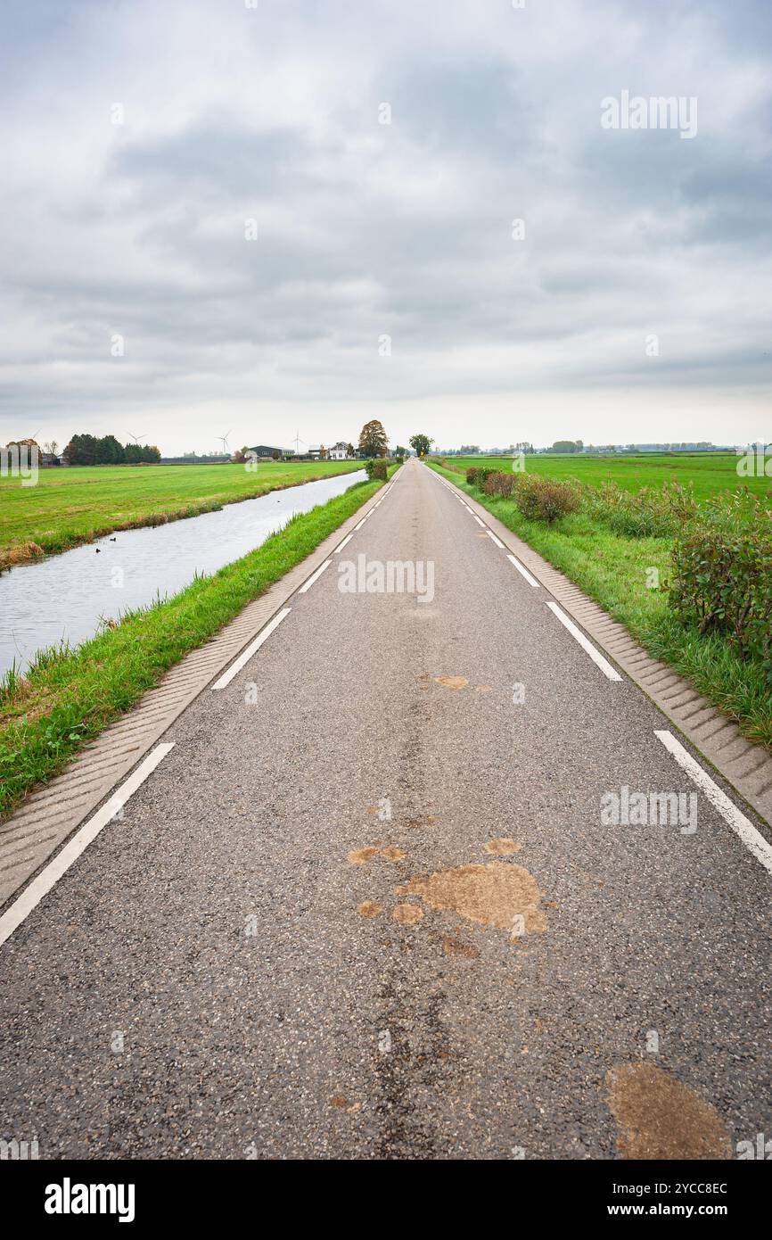 Strada di campagna a Zuidplaspolder, Paesi Bassi occidentali Foto Stock