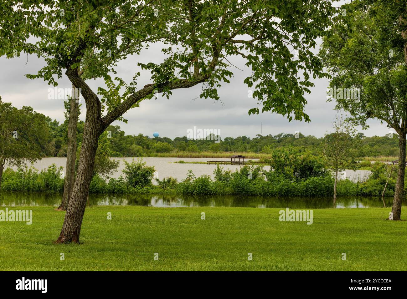 Vista del paesaggio all'oyster Creek Park in Sugar Land, Texas, dove alcune inondazioni causate dalla tempesta tropicale Alberta . Foto Stock