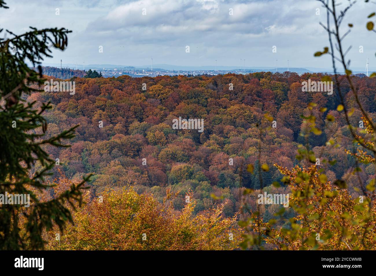Una vista mozzafiato mostra una foresta vivace e colorata in autunno, adornata da nuvole bianche sparse Foto Stock