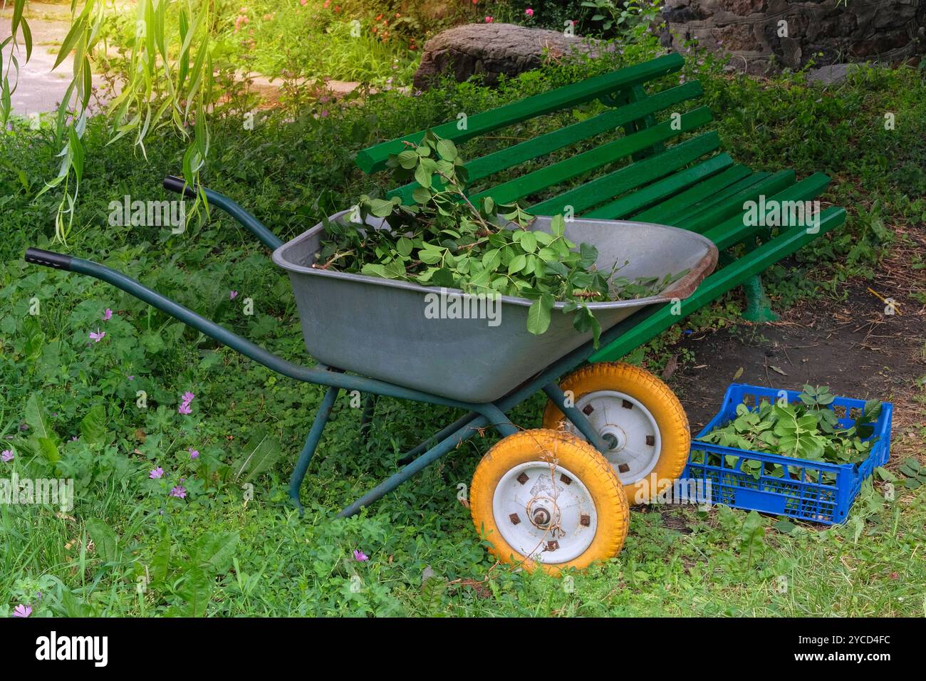 Mucchio di rami tagliati. Potare il carretto di bushesin di rose nel giardino di campagna. Giardinaggio e architettura paesaggistica. Giornata di sole. Foto Stock