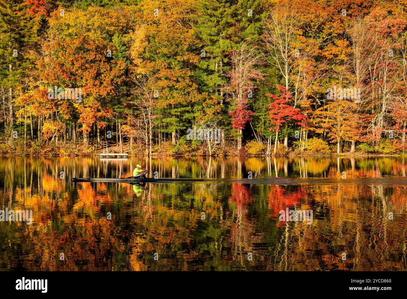 Camden, Maine, Stati Uniti. 20 ottobre 2024. Un uomo sta sfrecciando attraverso un turbinio di colori sul lago Megunticook. Il fogliame autunnale del Maine ha raggiunto il suo picco questa settimana. (Credit Image: © Shane Srogi/ZUMA Press Wire) SOLO PER USO EDITORIALE! Non per USO commerciale! Foto Stock