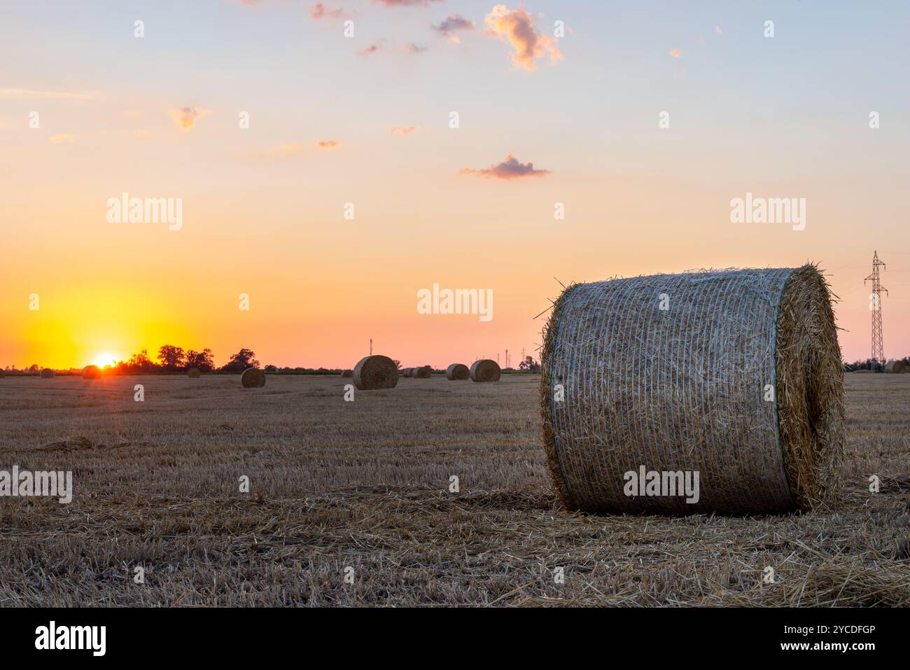 Balle rotonde di paglia in un campo di stoppia durante il tramonto in estate. Foto Stock