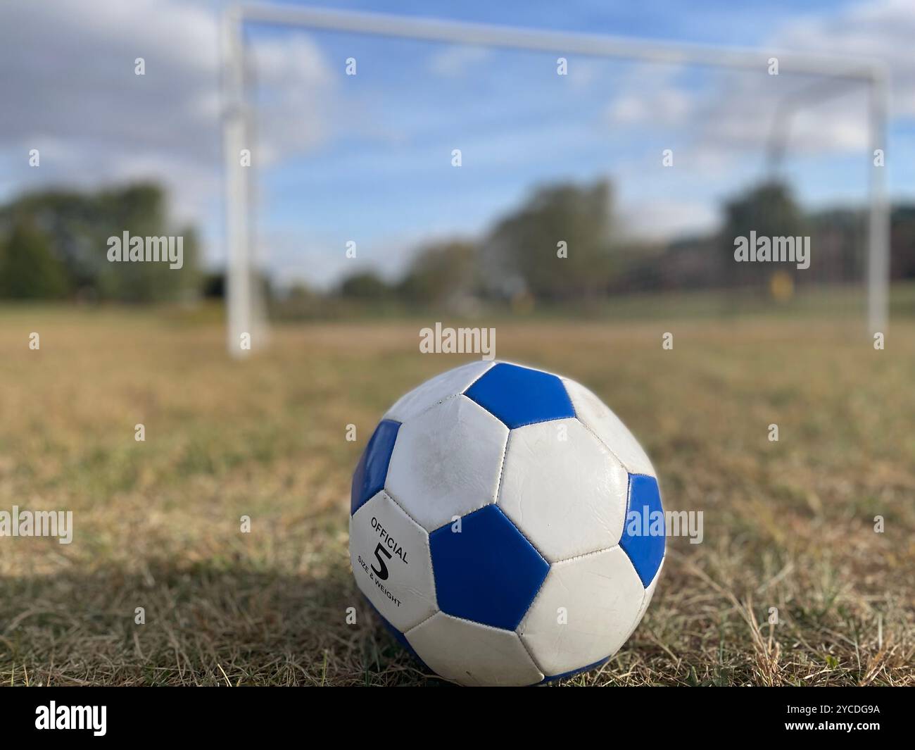 Un pallone da calcio bianco e blu poggia sull'erba impantanata, pronto per l'azione. Oltre, un obiettivo è sentinella sotto un cielo autunnale circondato da nuvole. - Immagine stock catturata con smartphone