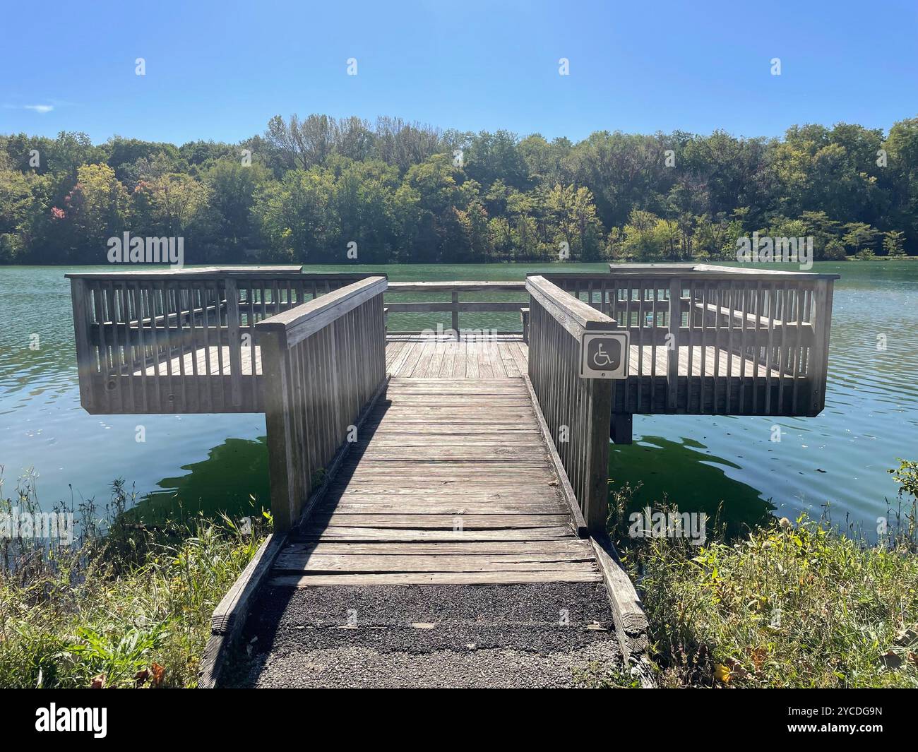 Molo di legno soleggiato si affaccia su un lago tranquillo, invitante contemplazione. Le coste costeggiate da foreste e i cieli azzurri incorniciano il momento perfetto della natura. - Immagine stock catturata con smartphone