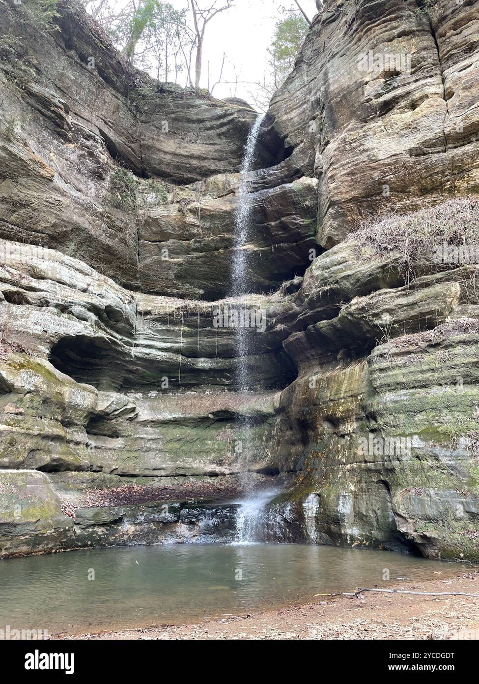 Le cascate a più livelli scendono con grazia da antiche scogliere calcaree, creando un'oasi serena annidata tra le suggestive pareti del canyon di Starved Rock. - Immagine stock catturata con smartphone