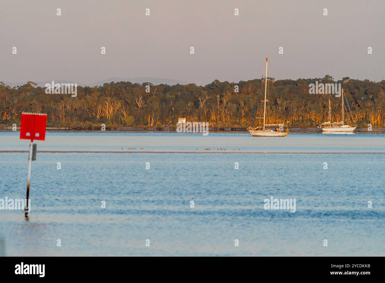 Yacht ormeggiati nel canale con marcatore di navigazione portuale, Carlo Point, Tin CAN Bay Inlet, Rainbow Beach, Queensland Australia Foto Stock