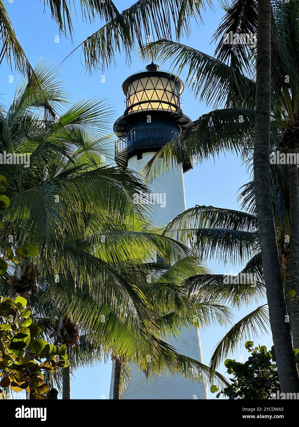 Cape Florida Lighthouse, Key Biscayne, Florida, Stati Uniti d'America - Immagine stock catturata con smartphone